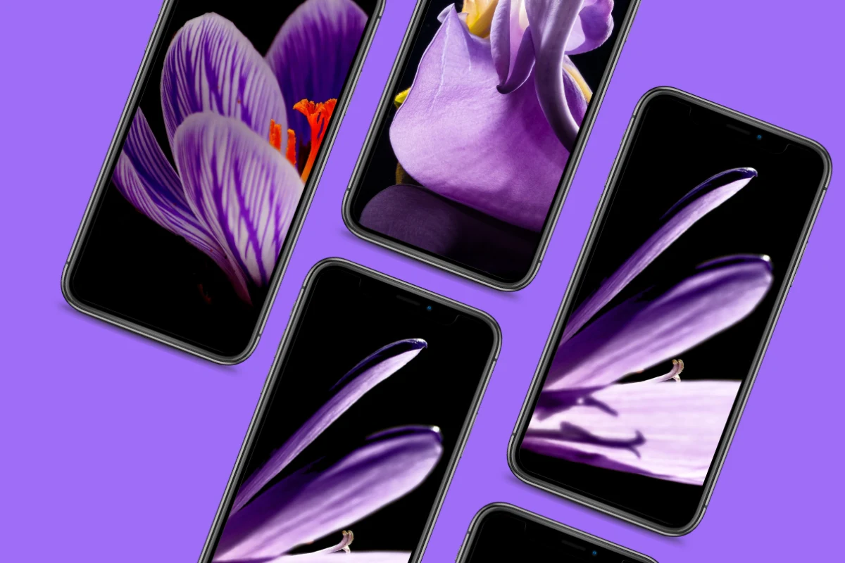 Mobil uygulama tasarımı – iOS ve Android ekran arayüzü çalışması